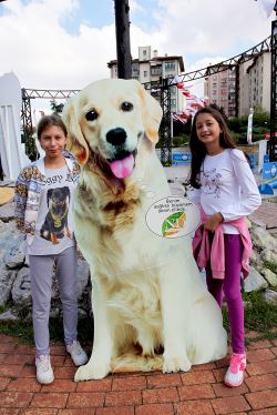 Ataşehir'de Hayvanseverler 'Can Dostlar ' İçin Biraraya Geldi