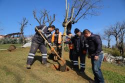 Kent Park Fidanlarla Donatılıyor