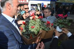 Üsküdar'da Sandıklar Çiçek Açtı