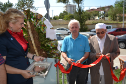 Koyunu Keserken Hangi Parçaları Nasıl Kullanacağız