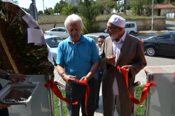 Koyunu Keserken Hangi Parçaları Nasıl Kullanacağız