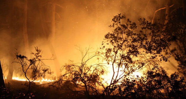 Çekmeköy'de ormanlık alanda yangın