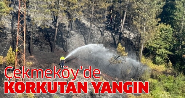 Çekmeköy'de ormanlık alanda yangın !