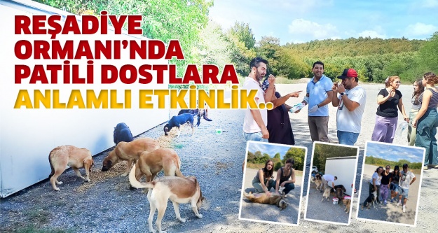 Reşadiye Ormanı’nda patili dostlara anlamlı etkinlik..