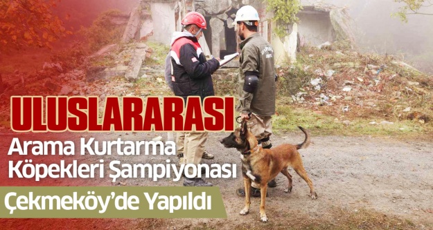 Uluslararası ’Arama Kurtarma Köpekleri Şampiyonası’ Çekmeköy’de yapıldı