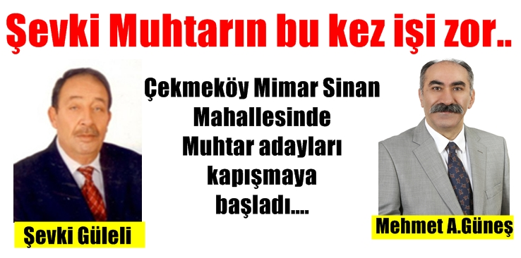 Mimar Sinan Mahallesine Site başkanları kararlı