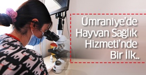 Ümraniye’de Hayvan Sağlık Hizmeti’nde Bir İlk..