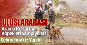 Uluslararası ’Arama Kurtarma Köpekleri Şampiyonası’ Çekmeköy’de yapıldı