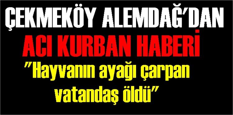 Çekmeköy'de Kurban can aldı