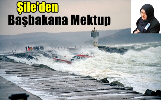 Başbakana mektup yazdı: Sorumluları bulun